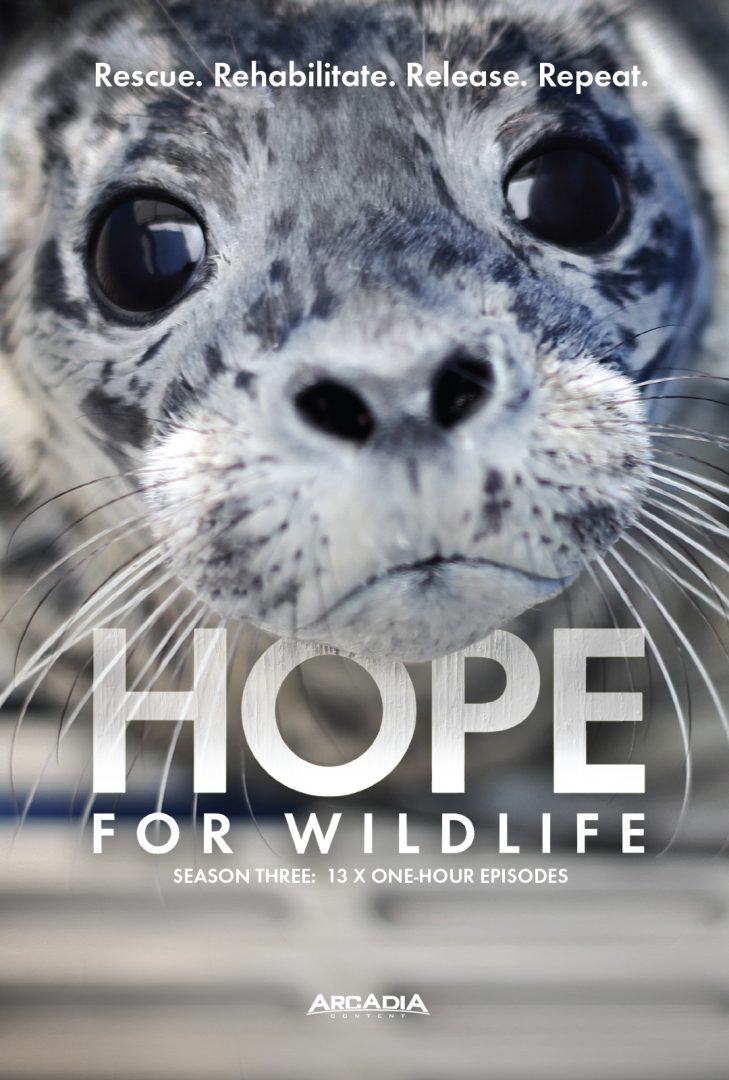 Hope for Wildlife, Season Three Hope for Wildlife TV