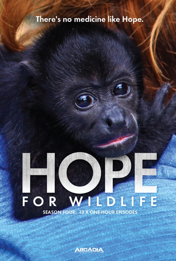 Hope for Wildlife, Season Four Hope for Wildlife TV