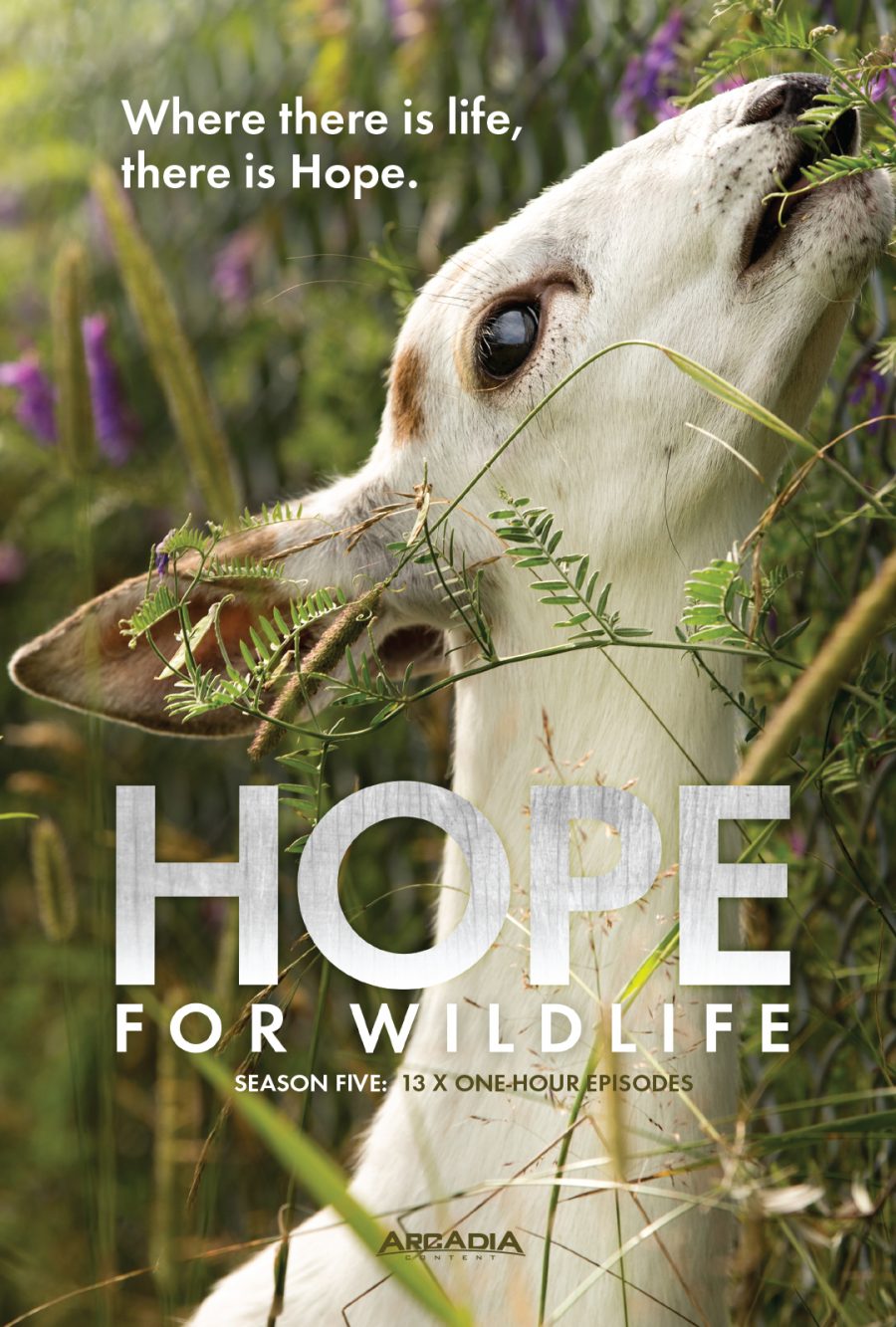 Hope for Wildlife, Season Five Hope for Wildlife TV