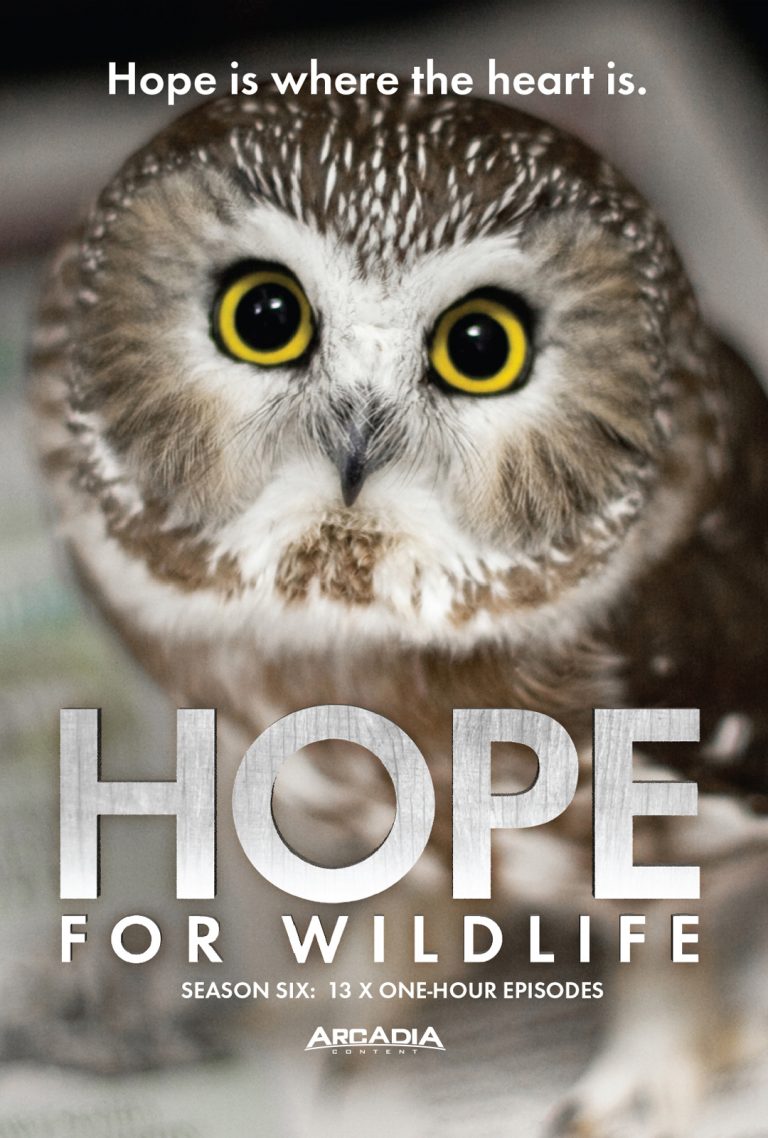 Hope for Wildlife, Season Six Hope for Wildlife TV