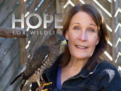 Hope For Wildlife is BACK!! Season 10 Airs Tonight!!